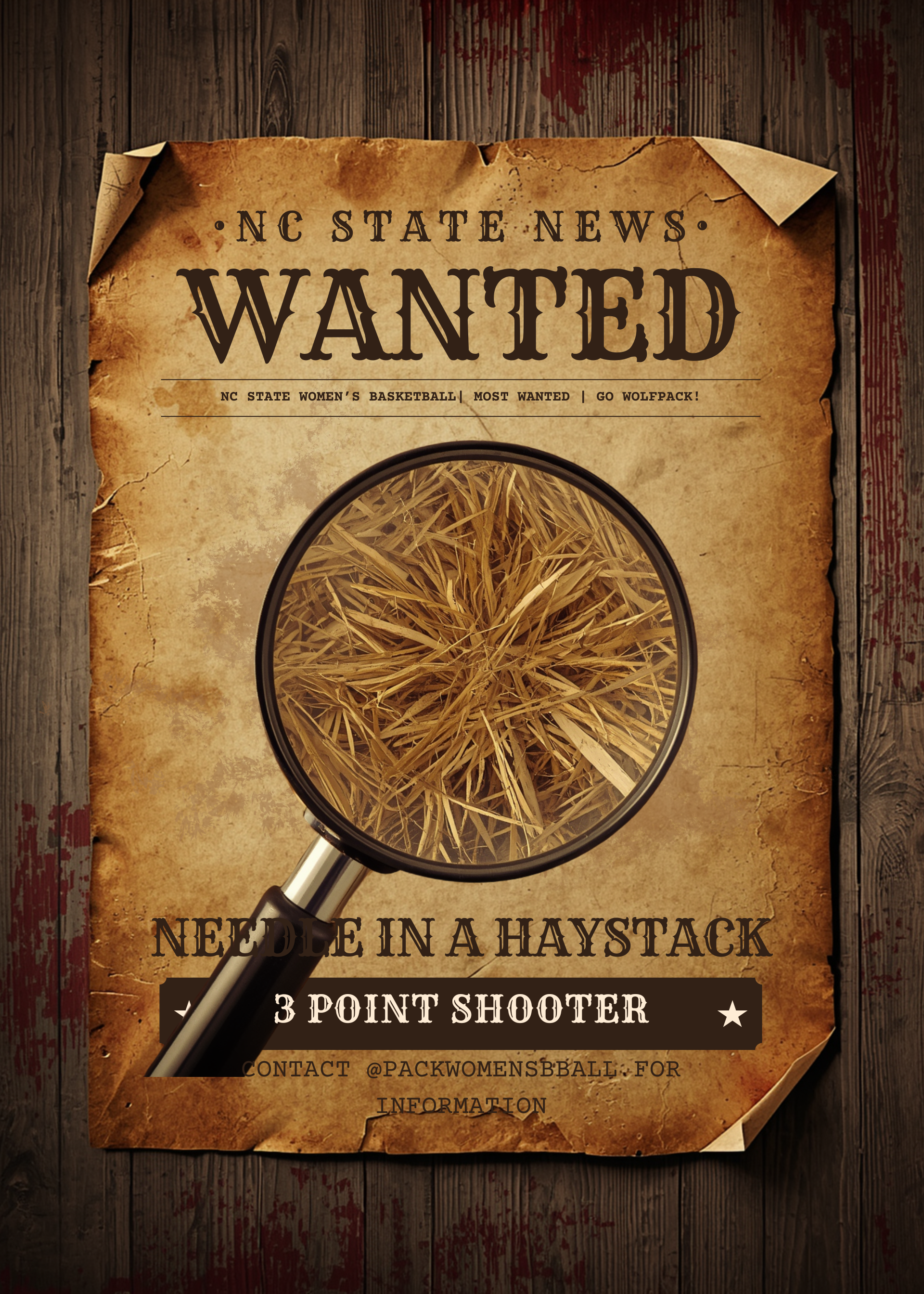 Diamonds in a Haystack? Will NC State Mine the 2026 Mid Major Portal?